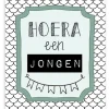 Wenskaart Hoera een Jongen