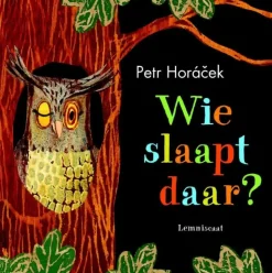 Wie slaapt daar?