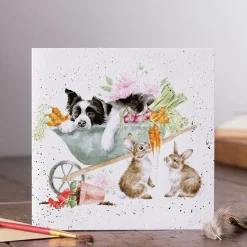 Wrendale Designs Wenskaart Sleeping on the Job