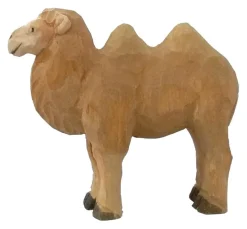 Wudimals Kameel 40474