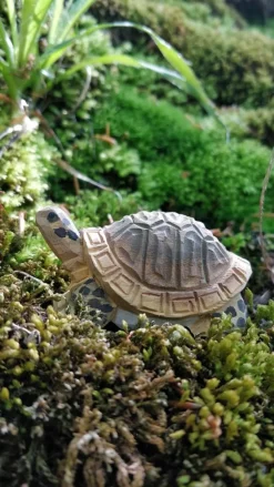 Wudimals Schildpad 40704