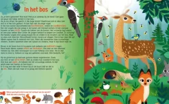 Zaklampboek Speuren in de dierenwereld