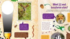 Zaklampboek Speuren in het bos